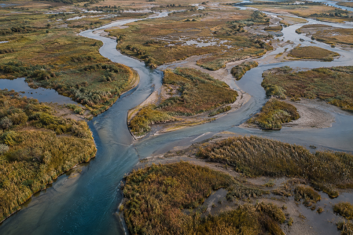 Rivière se divisant en plusieurs chenaux dans un delta