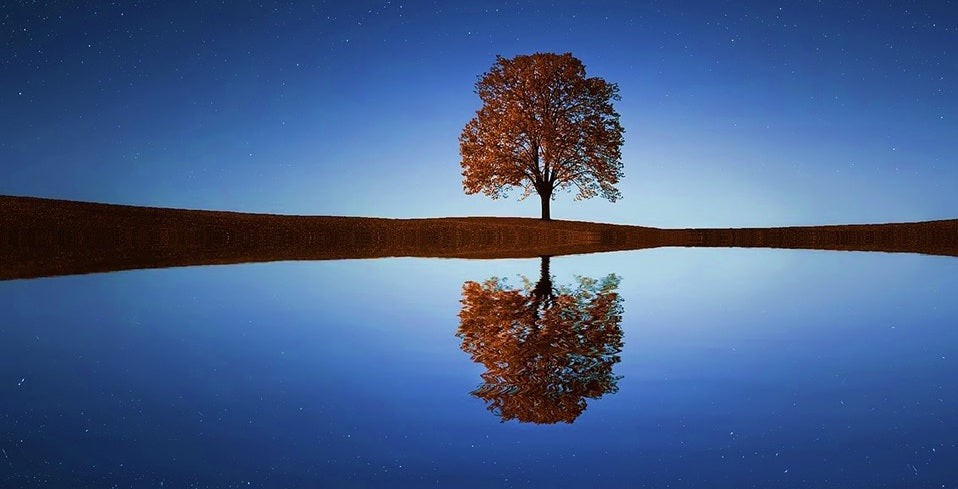 Le calme : un état biologique qui se développe