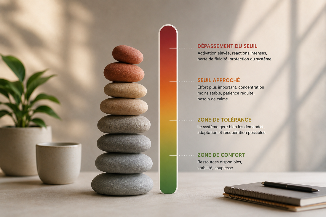 seuil tolérance système nerveux diminution progressive marge disponible sollicitations